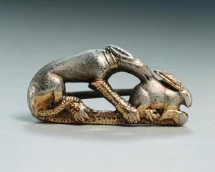 Fibula eines Hundes, der einen Hasen fängt